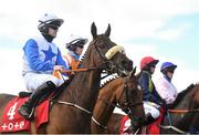 28 July 2021; Runners and riders including Courting Flow, with Kevin Sexton up, make their way to the startline prior to the Tote+ At Tote.ie Maiden Hurdle during day three of the Galway Races Summer Festival at Ballybrit Racecourse in Galway. Photo by David Fitzgerald/Sportsfile