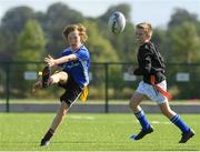 13 August 2021; Odhran Doyle, age 10, in action during the Bank of Ireland Leinster Rugby Summer Camp at Tullow RFC in Tullow, Carlow. Photo by Matt Browne/Sportsfile