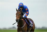 14 October 2021; Vee Dancer, with Mark Enright up, during the Hollywoodbets Now Streaming All Irish Racing Maiden at The Curragh Racecourse in Kildare. Photo by Harry Murphy/Sportsfile