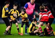 27 November 2021; Action from the Bank of Ireland Half-Time Minis between Ashbourne RFC and Wicklow RFC at the United Rugby Championship match between Leinster and Ulster at the RDS Arena in Dublin. Photo by David Fitzgerald/Sportsfile