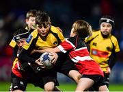 27 November 2021; Action from the Bank of Ireland Half-Time Minis between Ashbourne RFC and Wicklow RFC at the United Rugby Championship match between Leinster and Ulster at the RDS Arena in Dublin. Photo by David Fitzgerald/Sportsfile