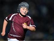 27 November 2021; Action from the Bank of Ireland Half-Time Minis between Ardee RFC and Roscrea RFC at the United Rugby Championship match between Leinster and Ulster at the RDS Arena in Dublin. Photo by Piaras Ó Mídheach/Sportsfile