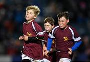 27 November 2021; Action from the Bank of Ireland Half-Time Minis between Ardee RFC and Roscrea RFC at the United Rugby Championship match between Leinster and Ulster at the RDS Arena in Dublin. Photo by Piaras Ó Mídheach/Sportsfile