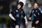 27 November 2021; Action from the Bank of Ireland Half-Time Minis between Ardee RFC and Roscrea RFC at the United Rugby Championship match between Leinster and Ulster at the RDS Arena in Dublin. Photo by Piaras Ó Mídheach/Sportsfile