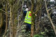 15 January 2022; Crettyard GAA steward Pat Reilly climbs into the trees to recover a ball ahead of the O'Byrne Cup Group B match between Laois and Wicklow at Crettyard GAA Club in Laois. Photo by Daire Brennan/Sportsfile