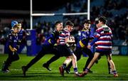 25 February 2022; Bank of Ireland Half-Time Minis action between Ratoath and North Kildare at the United Rugby Championship match between Leinster and Emirates Lions at RDS Arena in Dublin. Photo by Harry Murphy/Sportsfile