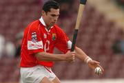 11 April 2004; Sean Og O hAilpin, Cork. Allianz Hurling League 2004, Division 1, Group 1, Galway v Cork, Pearse Stadium, Galway. Picture credit; David Maher / SPORTSFILE *EDI*