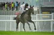 1 August 2013; Golden Wonder, with Roger Loughran up, on their way to winning the Perfect Pint Beginners Steeplechase. Galway Racing Festival, Ballybrit, Co. Galway. Picture credit: Barry Cregg / SPORTSFILE