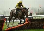 16 March 2022; Scarface, with Brendan Powell up, on their way to finishing seventh in the Ballymore Novices' Hurdle on day two of the Cheltenham Racing Festival at Prestbury Park in Cheltenham, England. Photo by David Fitzgerald/Sportsfile