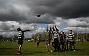 2 April 2022; Action between Donaghadee RFC and Old Belvedere during the Leinster Rugby Annual Joe Moran U11 blitz at Naas RFC in Naas, Kildare. Photo by Harry Murphy/Sportsfile