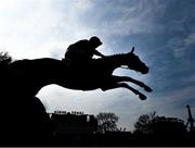 27 April 2022; Midnight It Is, with Kieren Buckley up, jumps the fourth during the Adare Manor Opportunity Series Final Handicap Hurdle during day two of the Punchestown Festival at Punchestown Racecourse in Kildare. Photo by David Fitzgerald/Sportsfile