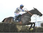 26 April 2022; Captain Guinness, with Davy Russell up, jumps the last in the William Hill Champion Steeplechase during the Punchestown Festival Champion Chase Day in Punchestown Racecourse, Kildare. Photo by David Fitzgerald/Sportsfile