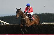 27 April 2022; Allaho, with Paul Townend up, jumps the last on their way to winning the Ladbrokes Punchestown Gold Cup during day two of the Punchestown Festival at Punchestown Racecourse in Kildare. Photo by Seb Daly/Sportsfile