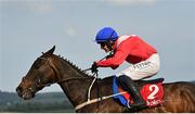 27 April 2022; Allaho, with Paul Townend up, on their way to winning the Ladbrokes Punchestown Gold Cup during day two of the Punchestown Festival at Punchestown Racecourse in Kildare. Photo by Seb Daly/Sportsfile