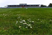30 April 2022; Daisies growing on the sideline at the Munster GAA Senior Football Championship Quarter-Final match between Clare and Limerick at Cusack Park in Ennis, Clare. Photo by Piaras Ó Mídheach/Sportsfile