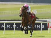 25 June 2022; Westover, with Colin Keane up, on their way to winning the Dubai Duty Free Irish Derby  during the Dubai Duty Free Irish Derby Festival at The Curragh Racecourse in Kildare. Photo by Matt Browne/Sportsfile