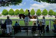 8 August 2013; A general view of spectators watching the three year olds parade during the Discover Ireland Dublin Horse Show 2013. RDS, Ballsbridge, Dublin. Picture credit: Barry Cregg / SPORTSFILE