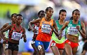 23 July 2022; Sifan Hassan of Netherlands, centre, competes in the women's 5000m final during day nine of the World Athletics Championships at Hayward Field in Eugene, Oregon, USA. Photo by Sam Barnes/Sportsfile