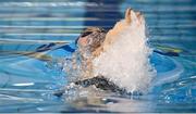 15 December 2022; Shane Ryan of Wexford SC competing in the Men's 50m backstroke final during day one of the Irish National Winter Swimming Championships 2022 at the National Aquatic Centre, on the Sport Ireland Campus, in Dublin. Photo by David Fitzgerald/Sportsfile