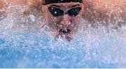 16 December 2022; Shane Ryan of Wexford SC competes in the heats of the men's 50m butterfly during day two of the Irish National Winter Swimming Championships 2022 at the National Aquatic Centre, on the Sport Ireland Campus, in Dublin. Photo by David Fitzgerald/Sportsfile