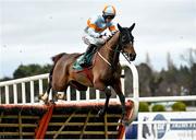27 December 2022; Itswhatunitesus, with Jack Kennedy up, jumps the first during the Paddy Power Future Champions Novice Hurdle on day two of the Leopardstown Christmas Festival at Leopardstown Racecourse in Dublin. Photo by Seb Daly/Sportsfile