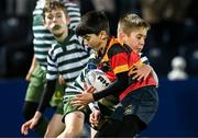 1 January 2023; Action during the Bank of Ireland Half-time Minis match between Greystones RFC and Lansdowne RFC at Leinster and Connacht in the United Rugby Championship at RDS Arena in Dublin. Photo by Harry Murphy/Sportsfile