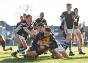 19 January 2023; Keith Bonar of St Fintan's High School scores his side's first try despite the tackle of Jack Kelly and Daniel Henry of Ardscoil na Tríonóide during the Bank of Ireland Fr Godfrey Cup Second Round match between St Fintan's High School and Ardscoil na Tríonóide at Old Belvedere RFC in Dublin. Photo by Harry Murphy/Sportsfile