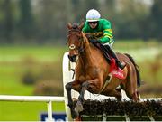 26 January 2023; Hands Of Gold, with Aine O'Connor up, jumps the last on their way to winning the Connolly's RED MILLS Irish EBF Ladies Auction Maiden Hurdle at Gowran Park in Kilkenny. Photo by Seb Daly/Sportsfile