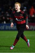 18 February 2023; Action between Arklow RFC and Dundalk RFC during the Bank of Ireland Half-Time Minis at the United Rugby Championship match between Leinster and Dragons at RDS Arena in Dublin. Photo by Tyler Miller/Sportsfile