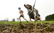 11 March 2023; Carton the Minature Jack Russell watches the action during the 123.ie All-Ireland Schools Cross Country Championships at SETU Sports Campus in Carriganore, Waterford. Photo by David Fitzgerald/Sportsfile