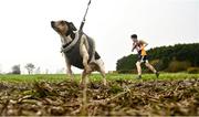 11 March 2023; Carton the Minature Jack Russell watches the action during the 123.ie All-Ireland Schools Cross Country Championships at SETU Sports Campus in Carriganore, Waterford. Photo by David Fitzgerald/Sportsfile