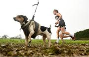 11 March 2023; Runners pass Carton the Minature Jack Russell during the 123.ie All-Ireland Schools Cross Country Championships at SETU Sports Campus in Carriganore, Waterford. Photo by David Fitzgerald/Sportsfile