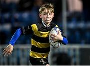 24 March 2023; Action from the half-time minis match between Birr RFC and Newbeidge RFC at the United Rugby Championship match between Leinster and DHL Stormers at the RDS Arena in Dublin. Photo by Harry Murphy/Sportsfile