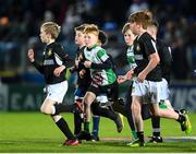 24 March 2023; Action from the Bank of Ireland half-time minis match between Longford RFC and Naas RFC at the United Rugby Championship match between Leinster and DHL Stormers at the RDS Arena in Dublin. Photo by Stephen McCarthy/Sportsfile