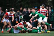 26 March 2023; Tadhg Brophy of Ireland during the Under-19 Rugby International match between Ireland and Japan at Lakelands Park in Dublin. Photo by Harry Murphy/Sportsfile