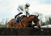 8 April 2023; Jockey Michael O'Sullivan and mount Time To Rocco narrowly avoid falling at the last during the BoyleSports Mares Novice Steeplechase on day one of the Fairyhouse Easter Festival at Fairyhouse Racecourse in Ratoath, Meath. Photo by Seb Daly/Sportsfile