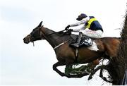 8 April 2023; Instit, with Danny Mullins up, jumps the last on their way to winning the BoyleSports Mares Novice Steeplechase on day one of the Fairyhouse Easter Festival at Fairyhouse Racecourse in Ratoath, Meath. Photo by Seb Daly/Sportsfile