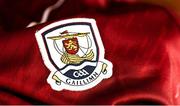 28 March 2023; A detailed view the Galway crest before a Galway hurling squad portrait session at Galway GAA Training Centre, Loughgeorge in Galway. Photo by Eóin Noonan/Sportsfile