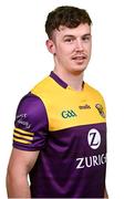 6 March 2023; Cathal Dunbar during a Wexford hurling squad portrait session at Wexford GAA Centre of Excellence in Ferns, Wexford. Photo by Eóin Noonan/Sportsfile