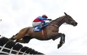 25 April 2023; Facile Vega, with Paul Townend up, jumps the last on their way to winning the KPMG Champion Novice Hurdle during day one of the Punchestown Festival at Punchestown Racecourse in Kildare. Photo by Harry Murphy/Sportsfile