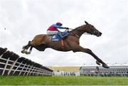 25 April 2023; Facile Vega, with Paul Townend up, jumps the last on their way to winning the KPMG Champion Novice Hurdle during day one of the Punchestown Festival at Punchestown Racecourse in Kildare. Photo by Harry Murphy/Sportsfile