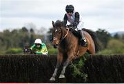 27 April 2023; Indiana Jones, with Darragh O'Keeffe up, jumps the last during the Barberstown Castle Novice Steeplechase on day three of the Punchestown Festival at Punchestown Racecourse in Kildare. Photo by Seb Daly/Sportsfile