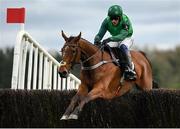 27 April 2023; El Fabiolo, with Paul Townend up, jumps the last on their way to winning the Barberstown Castle Novice Steeplechase during day three of the Punchestown Festival at Punchestown Racecourse in Kildare. Photo by Seb Daly/Sportsfile