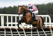 27 April 2023; Kilbeg King, with Aidan Coleman up, jumps the last on their way to winning the Conway Piling Handicap Hurdle during day three of the Punchestown Festival at Punchestown Racecourse in Kildare. Photo by Seb Daly/Sportsfile