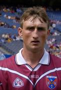 13 June 2004; Darren McCormack, Westmeath. Guinness Leinster Senior Hurling Championship Quarter-Final, Dublin v Westmeath, Croke Park, Dublin. Picture credit; Ray McManus / SPORTSFILE