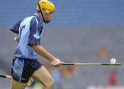 13 June 2004; David Curtin, Dublin. Guinness Leinster Senior Hurling Championship Quarter-Final, Dublin v Westmeath, Croke Park, Dublin. Picture credit; Ray McManus / SPORTSFILE