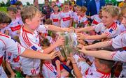 13 June 2023; At the 2023 GAA Hurling All-Ireland Series national launch at De La Salle GAA Club in Waterford are Cathal O’Neill of Limerick, Noel McGrath of Tipperary, Brian Tracey of Carlow, Richie Reid of Kilkenny, Uachtarán Chumann Lúthchleas Gael Larry McCarthy, De La Salle club chairman Don Lalor, Ben Connelly of Offaly, Adam Hogan of Clare, Seán Brennan of Dublin, Padraic Mannion of Galway and members of the De La Salle GAA Club 9 to 10 year old players holding the Liam MacCarthy Cup aloft. Photo by Ray McManus/Sportsfile