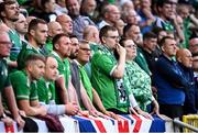19 June 2023; Northern Ireland supporters during the UEFA EURO 2024 Championship Qualifier match between Northern Ireland and Kazakhstan at National Stadium at Windsor Park in Belfast. Photo by Ramsey Cardy/Sportsfile