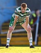 7 July 2023; Rory Gaffney of Shamrock Rovers during the SSE Airtricity Men's Premier Division match between Drogheda United and Shamrock Rovers at Weaver's Park in Drogheda, Louth. Photo by Ramsey Cardy/Sportsfile