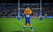 18 November 2023; Leo the Lion before the United Rugby Championship match between Leinster and Scarlets at the RDS Arena in Dublin. Photo by Harry Murphy/Sportsfile
